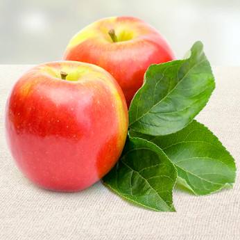 A Gift Inside All the Best Fruit Basket