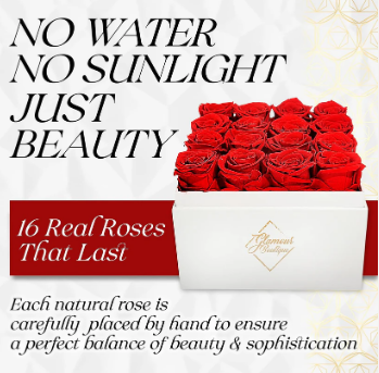 Preserved Roses in a Box Flower