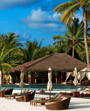 Maldives - Paradise Island Scenery