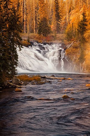 Yellowstone National Park 7 Days Tour