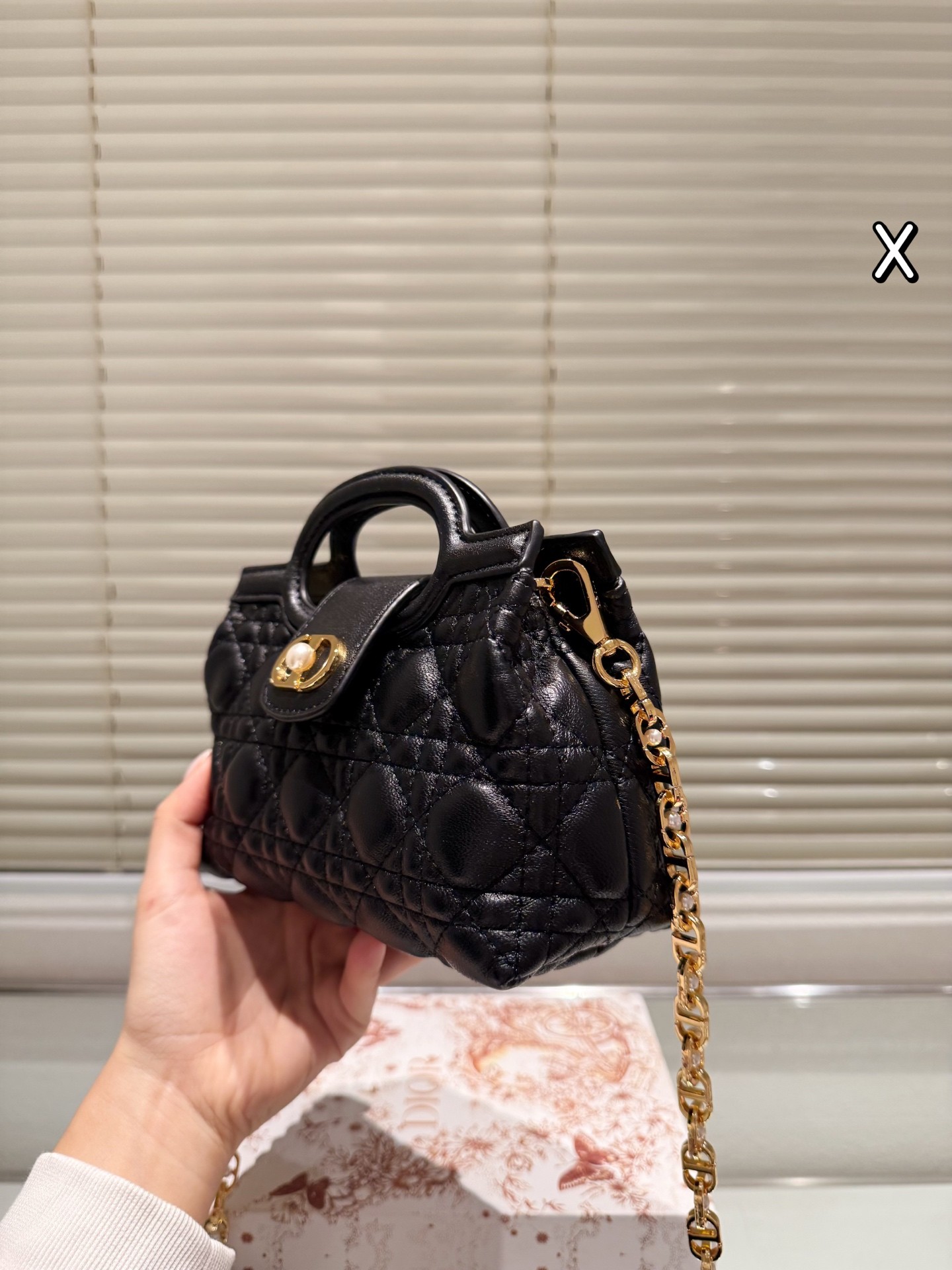 Dior Jolie Top Handle Mini Bag