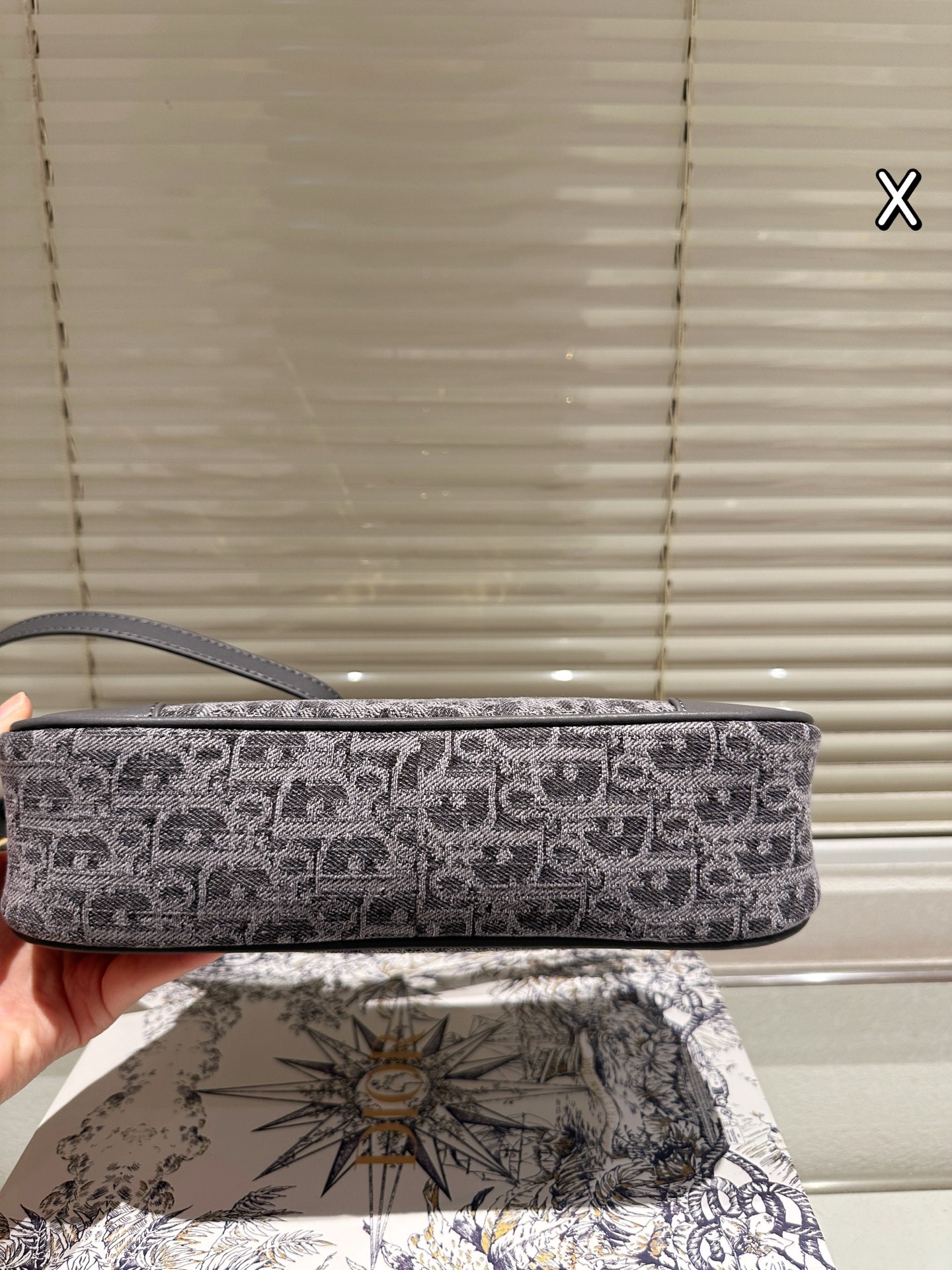 Mini sac à main Wanderlust Dior 30 Montaigne