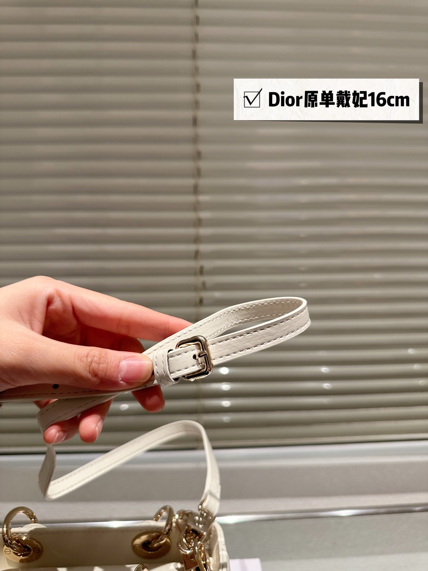 Dior Lady D-Joy Handbag