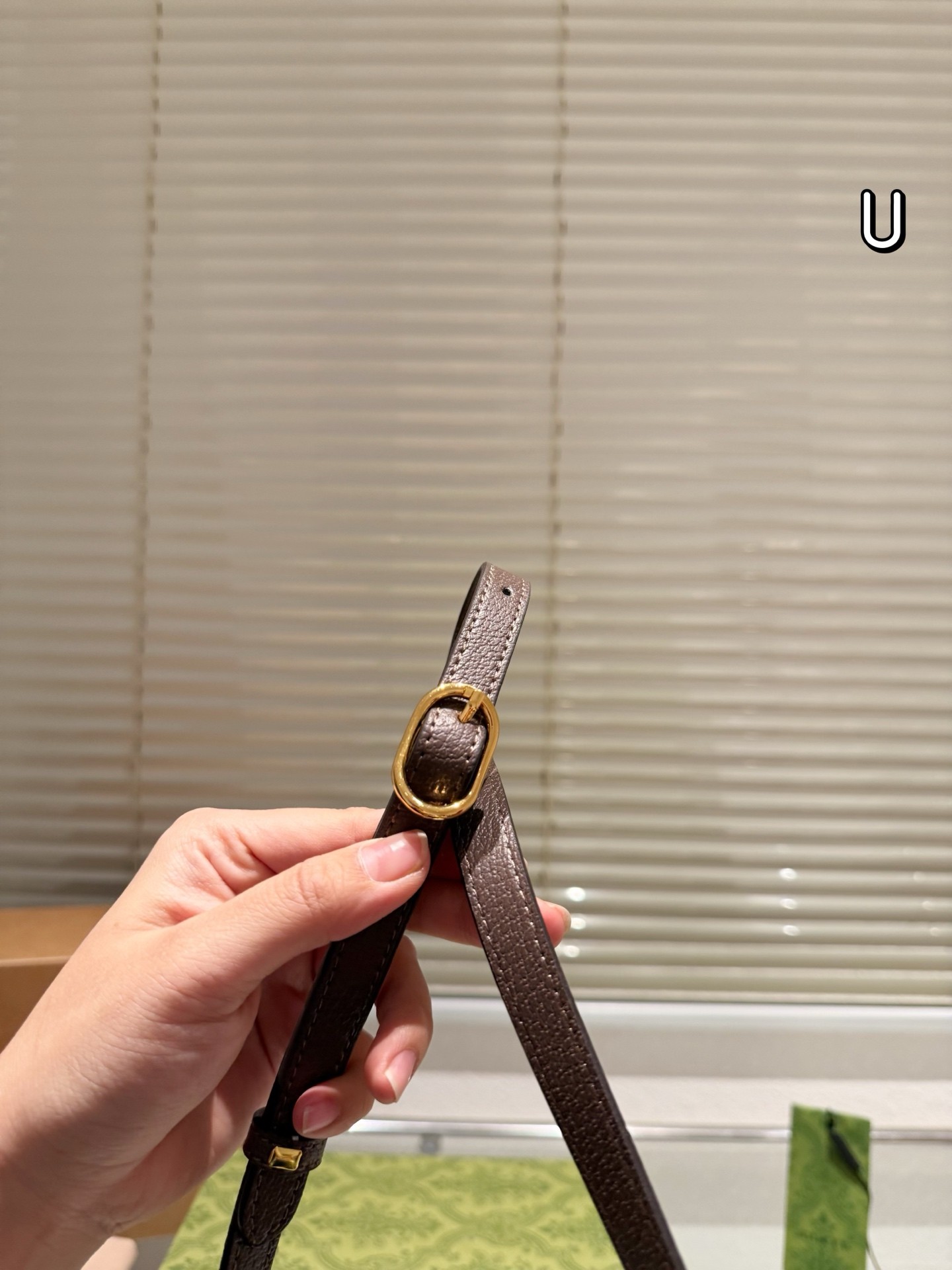 Gucci Ophidia GG Supreme Mini Cosmetic Case