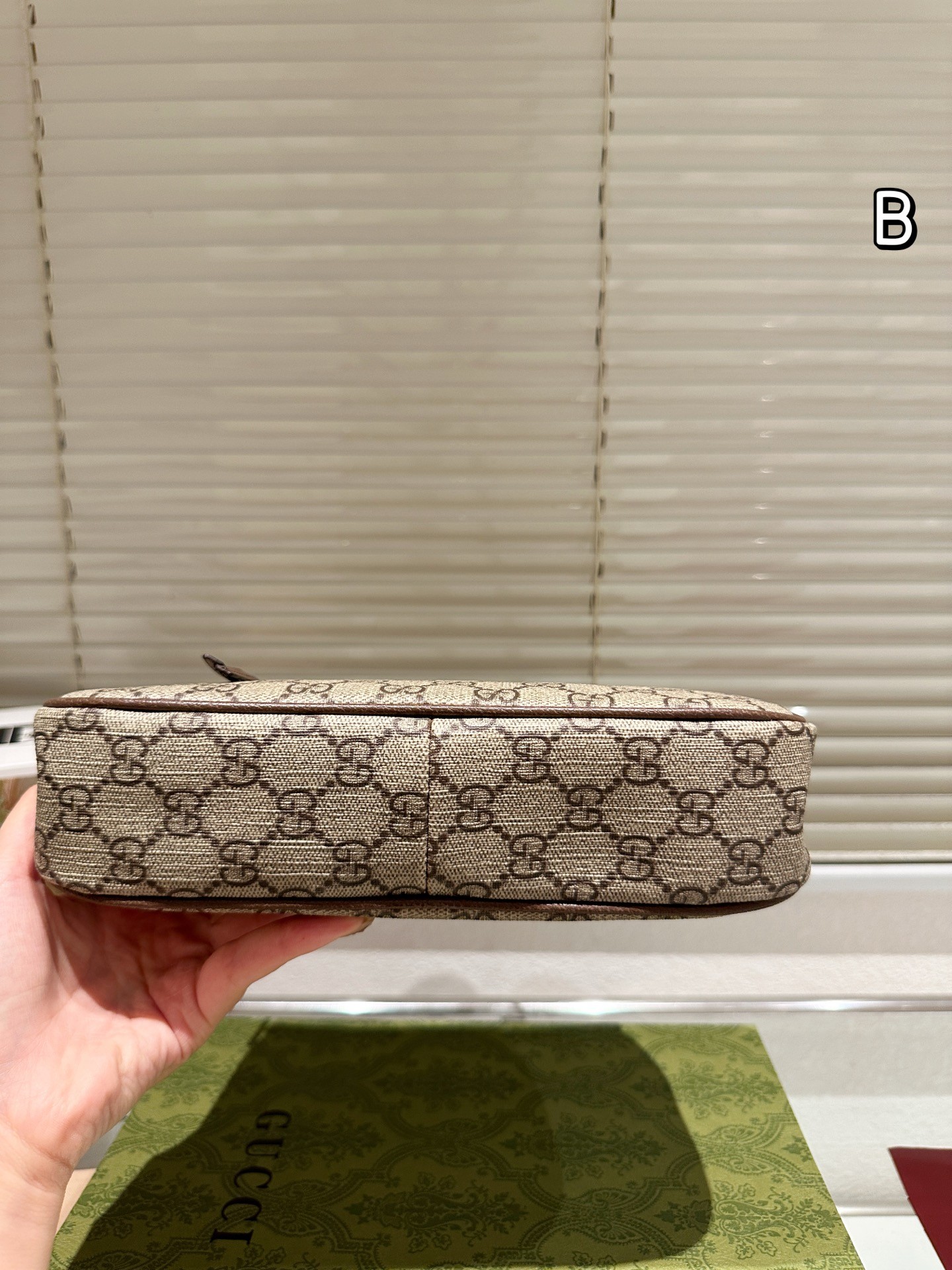 Gucci Ophidia Series Small Handbag