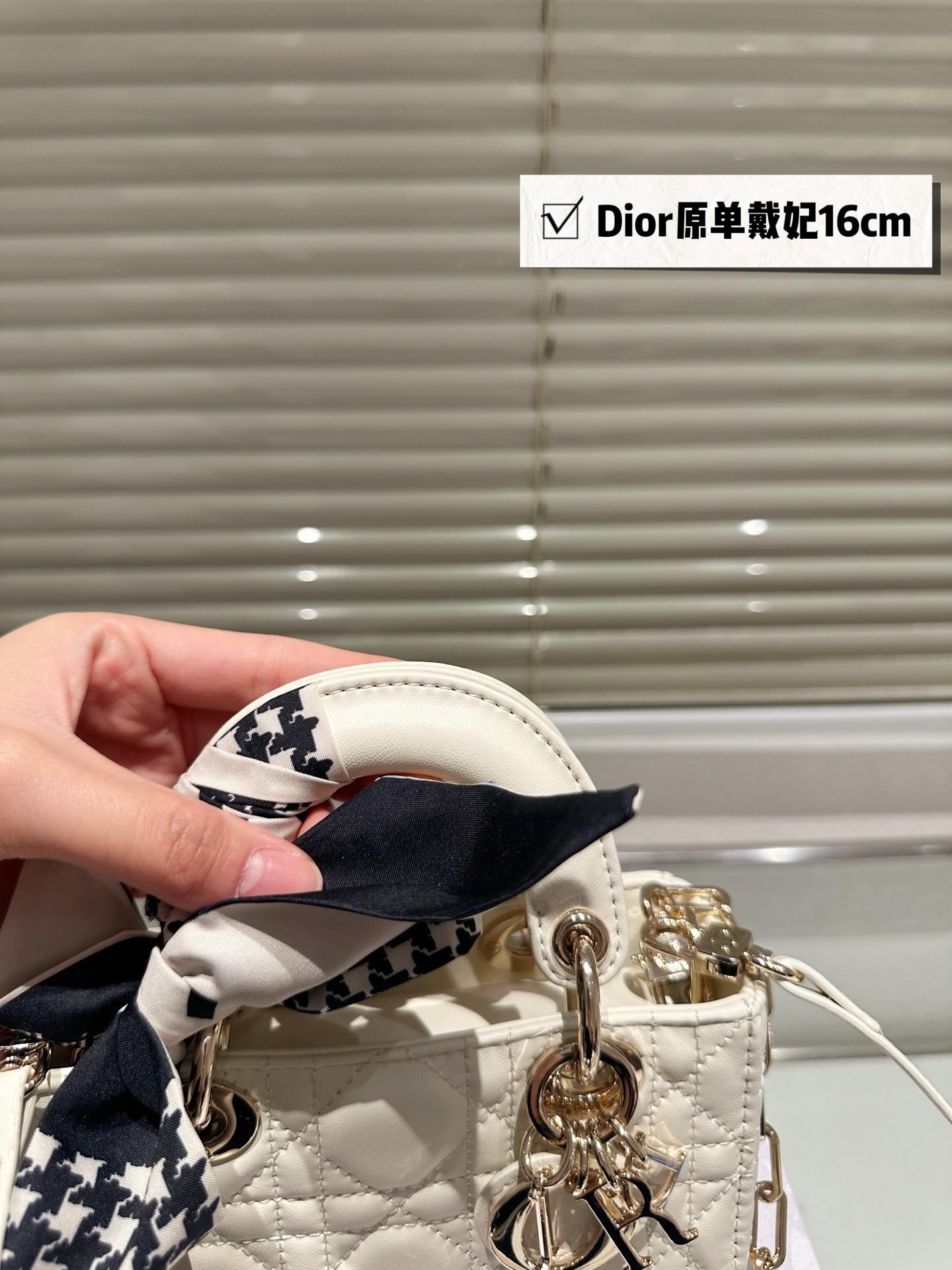 Dior Lady D-Joy Handbag