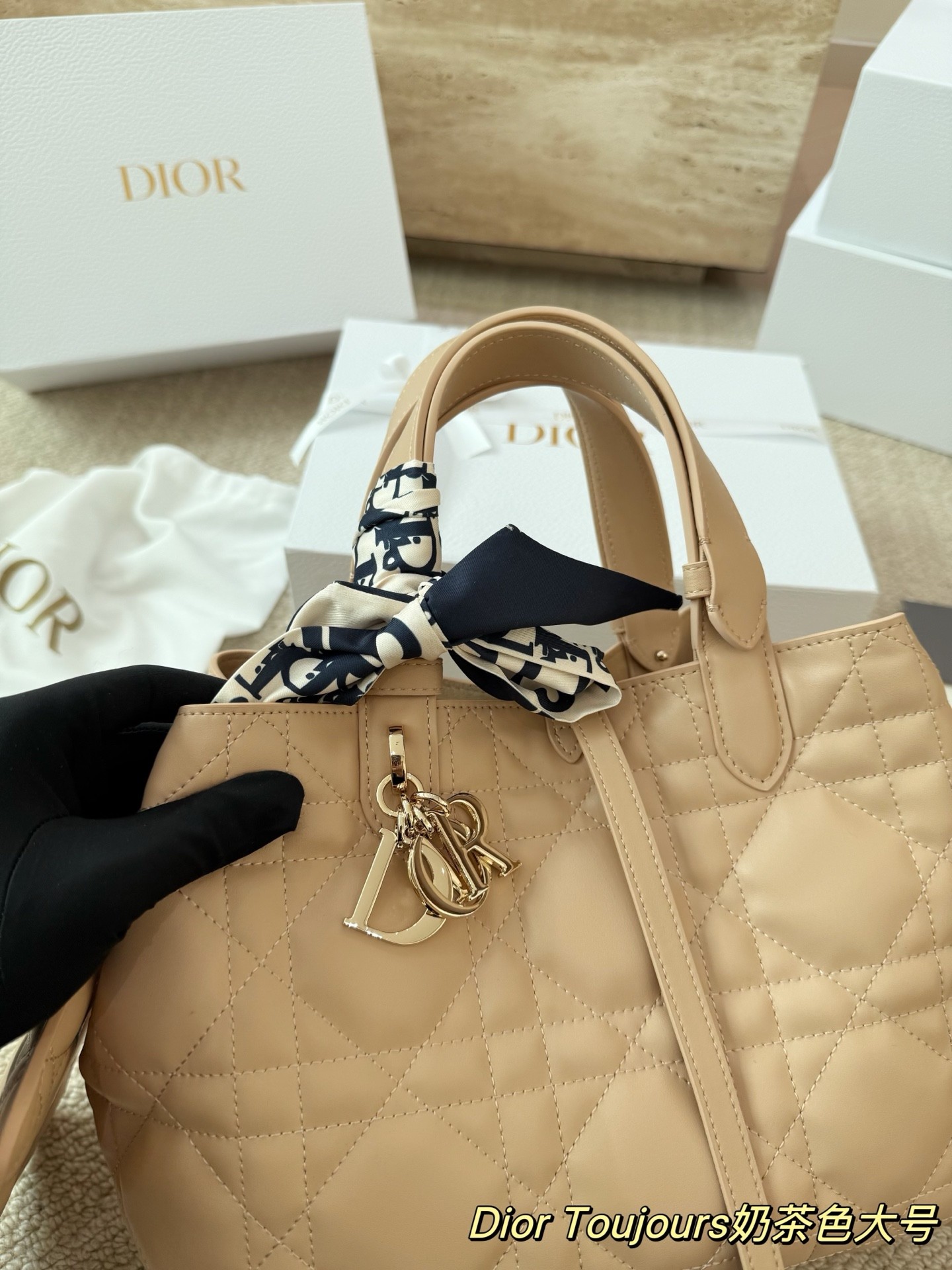 Dior Toujours Gloves