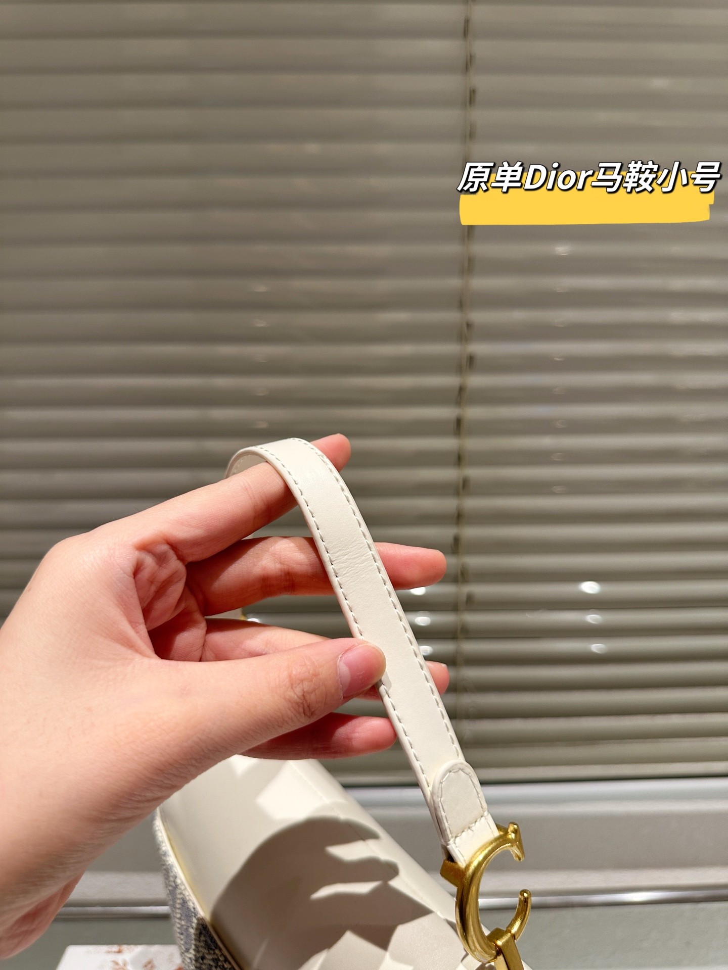 （Dior）Saddle bag