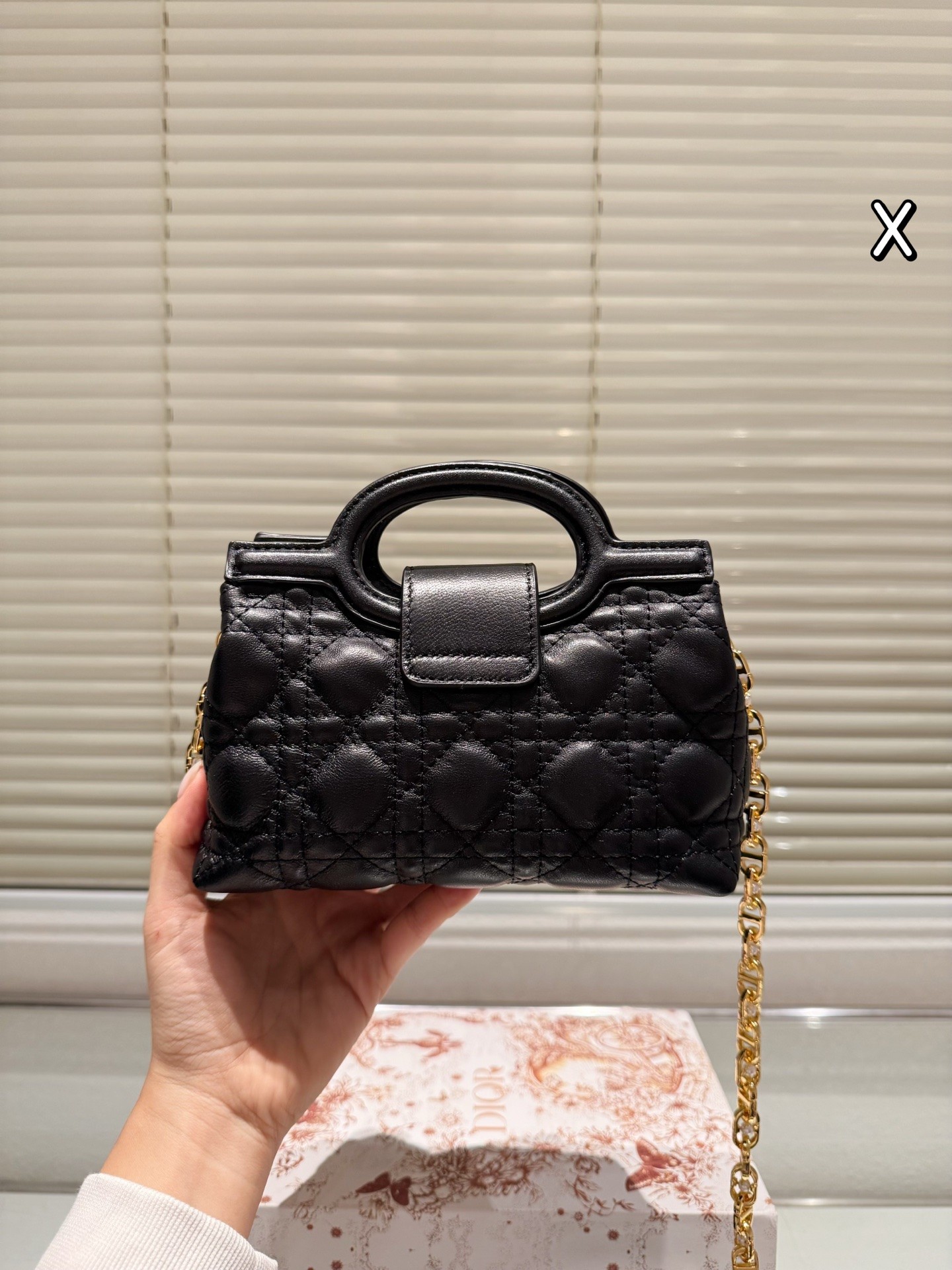 Dior Jolie Top Handle Mini Bag