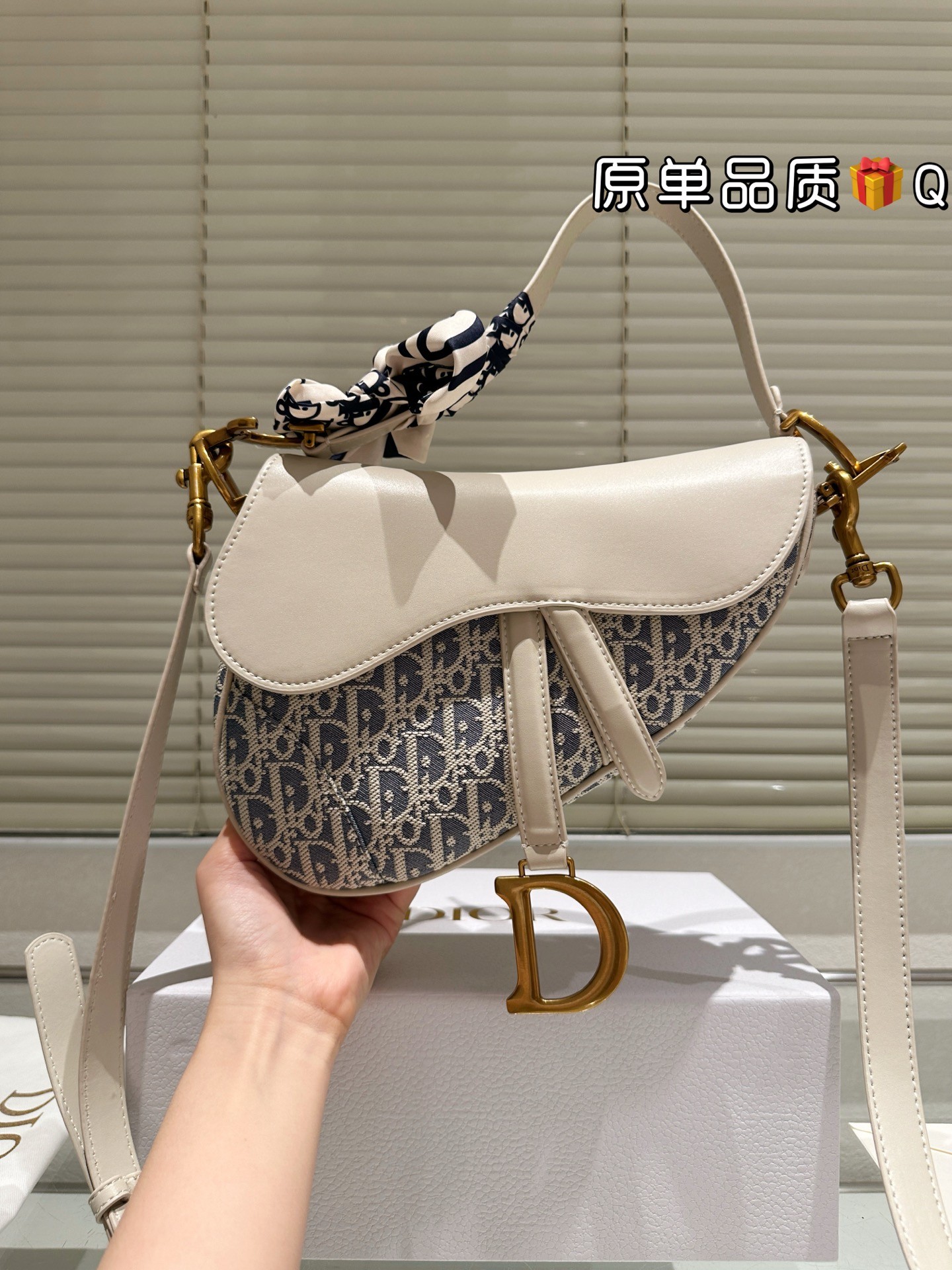 Dior Saddle Bag