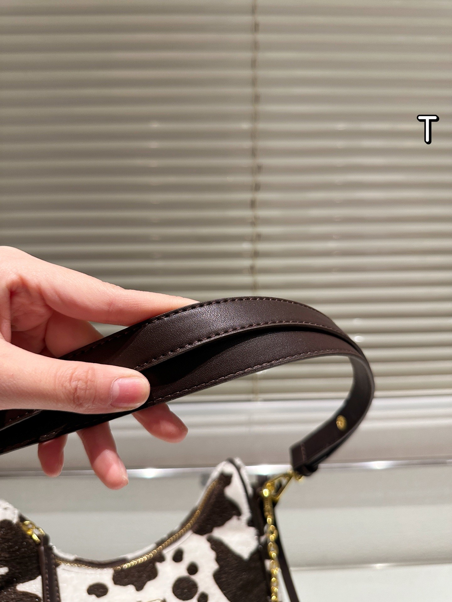 Prada Aimée Medium Printed Leather Shoulder Bag