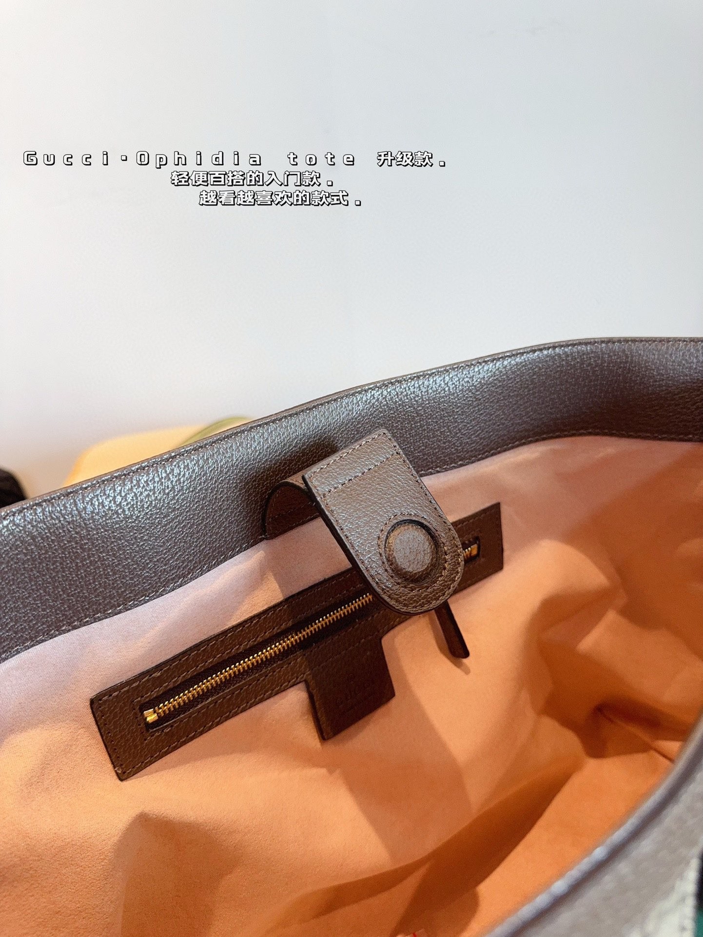 Gucci Ophidia Series Medium Tote Bag.