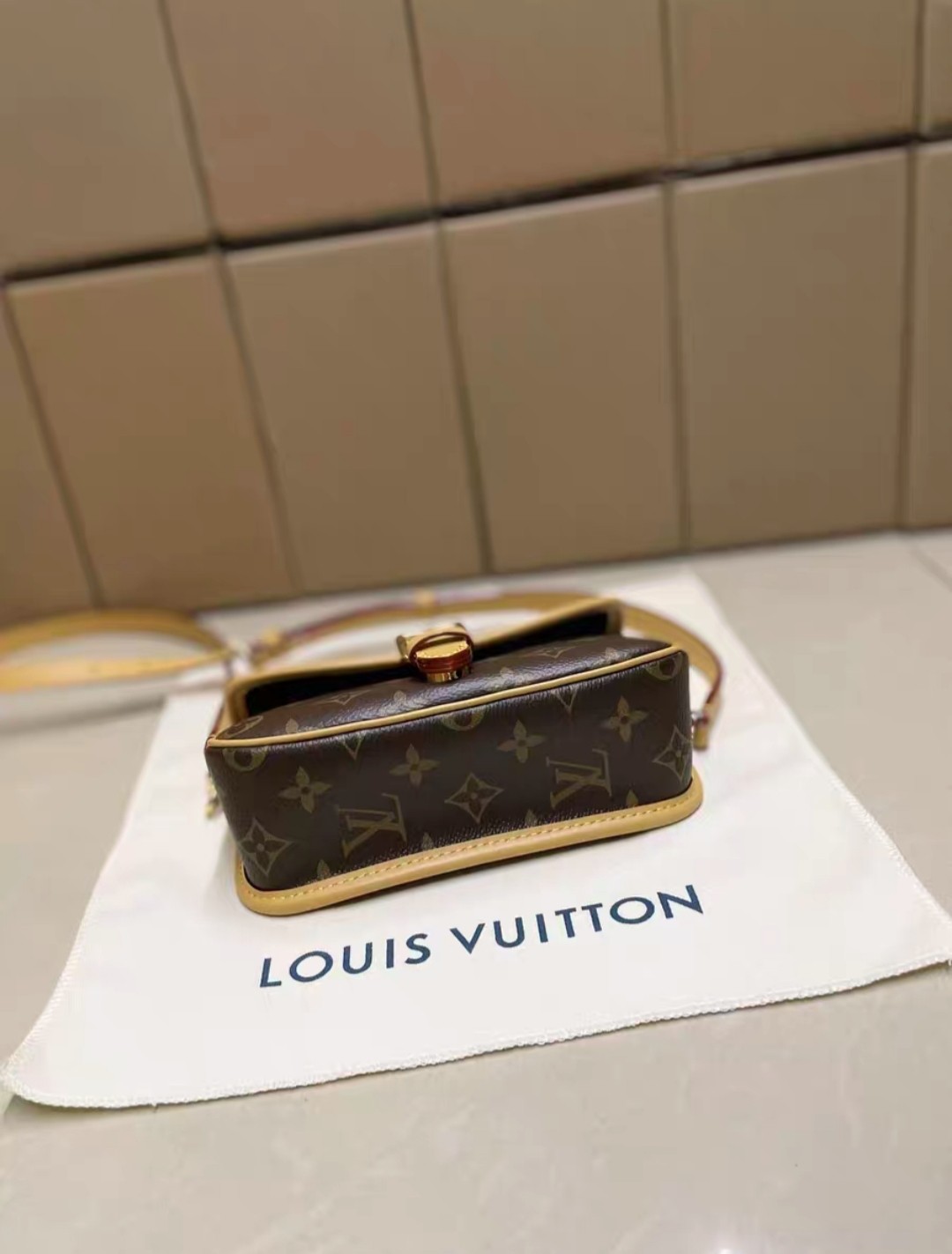 (Louis Vuitton) Diane