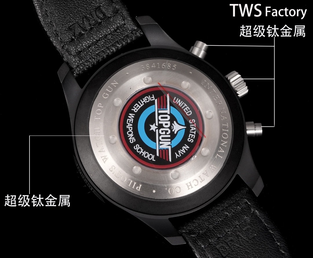 IWC Schaffhausen   Naval Air Combat Unit Watch