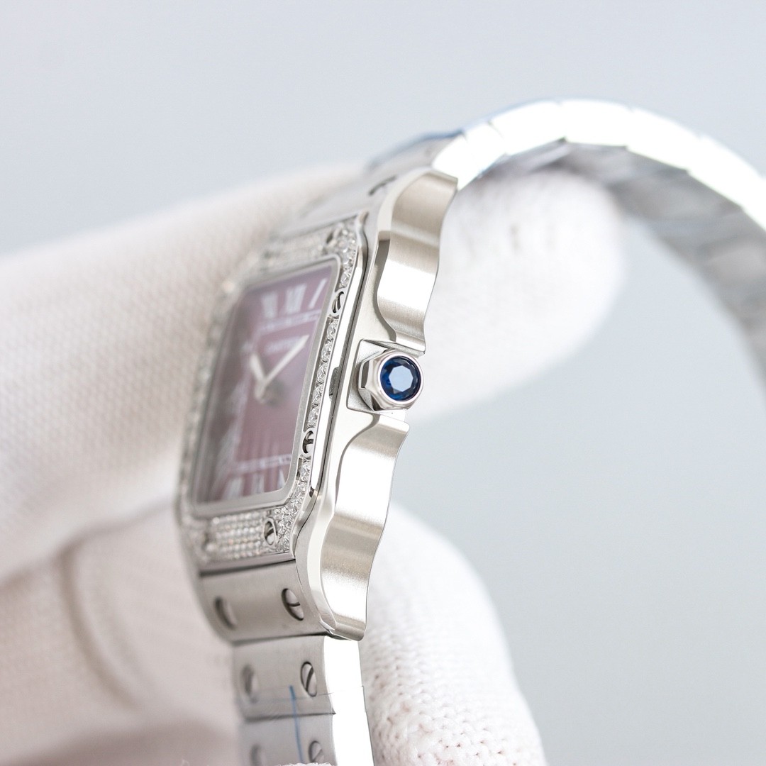 Cartier Santos de Cartier